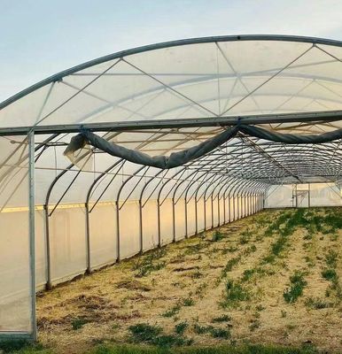 Ηλιακό θερμοκήπιο για την φύτευση καψούκων Προηγμένη μέθοδος καλλιέργειας λαχανικών