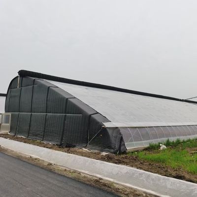 Ηλιακό θερμοκήπιο για την φύτευση καψούκων Προηγμένη μέθοδος καλλιέργειας λαχανικών