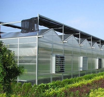 Αρχική πληρωμή Χιόνι δονητή θερμοκήπιο για τη γεωργία Μη θερμαινόμενη μέθοδος θέρμανσης
