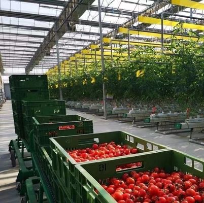 Χειροκηπίο διπλής αψίδας για καλλιέργεια μανιταριών