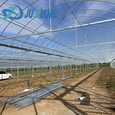 Χειροκηπίο διπλής αψίδας για καλλιέργεια μανιταριών