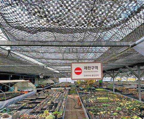 Προσαρμογή Αψίδα τούνελ θερμοκήπιο ηλιακό θερμοκήπιο για την καλλιέργεια καψούκων