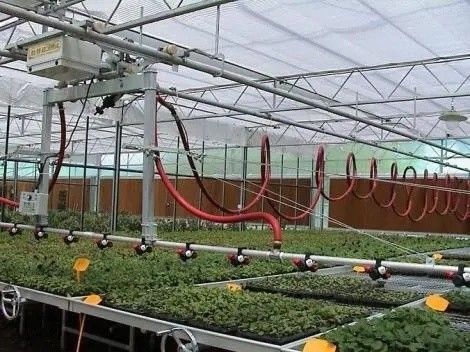 Προέλευση θερμοκήπιο διπλής αψίδας για το Capsicum Κόστος αποστολής και παραγωγή θερμοκήπιο