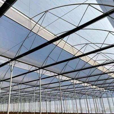 Μία ή πολλαπλή διάσταση προσαρμογή χιονιστήριος δονητής θερμοκήπιο για φύτευση ντομάτας