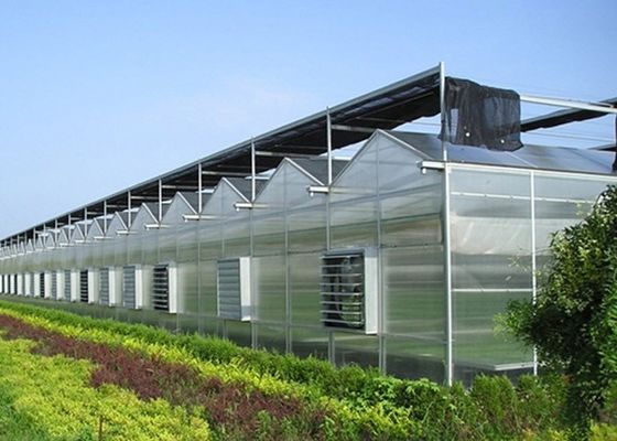 Ατσάλι πλαστικό διπλό τόξο δοκάρι σχεδιασμού θερμοκήπιο για τα λαχανικά