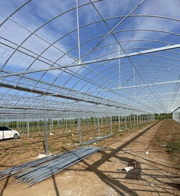 JX-A0045 Εμπορικό σήμα θερμοκήπιο υδροπονικής σταγόνης άρδευσης εντός αρχικής πληρωμής