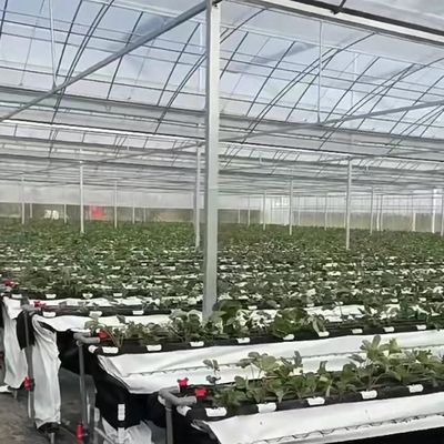 Ανθεκτικά οικοδομικά υλικά Φιλμικό θερμοκήπιο με χάλυβα