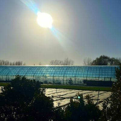 Διπλό στρώμα Γεωργικό έξυπνο θερμοκήπιο με ηλιακό φως με προστατευτικό δίχτυ εντόμων