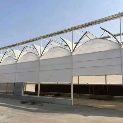 Διπλό στρώμα Γεωργικό έξυπνο θερμοκήπιο με ηλιακό φως με προστατευτικό δίχτυ εντόμων