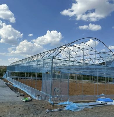 Αρχική πληρωμή JX-A0050 Γεωργικό θερμοκήπιο υδραγωγικών σωλήνων για την παραγωγή λαχανικών