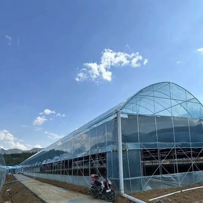Πολλαπλό θερμοκήπιο με σκιά 30 ημέρες Επιστροφή επιστροφές τώρα σε περιορισμένη προσφορά χρόνου