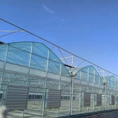 Πολλαπλό θερμοκήπιο με σκιά 30 ημέρες Επιστροφή επιστροφές τώρα σε περιορισμένη προσφορά χρόνου