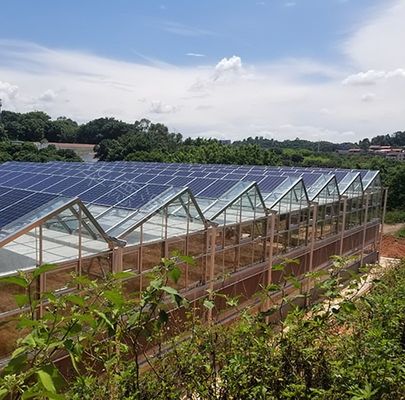 Θερμική μόνωση Εμπορικά φωτοβολταϊκά θερμοκήπια Προσφέρεται επιλογή προσαρμογής