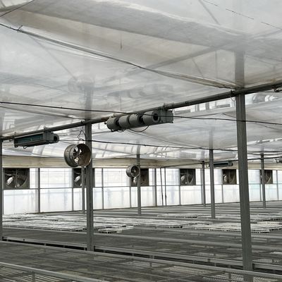Ελαστικό θερμοκήπιο πολλαπλών διαστάσεων για την παραγωγή λαχανικών Πακέτο ακαθάριστου βάρους 20.000kg