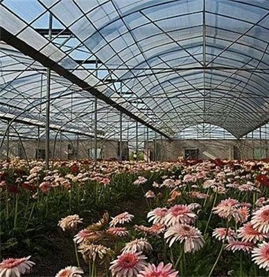Πολυδιάστατο θερμοκήπιο με προηγμένη άρδευση για το κόστος αποστολής και το χρόνο παράδοσης