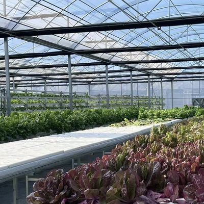 Εμπορικό θερμοκήπιο με πακέτο γης κοκοπεϊού Μέγεθος 50,00cm * 60,00cm * 50,00cm