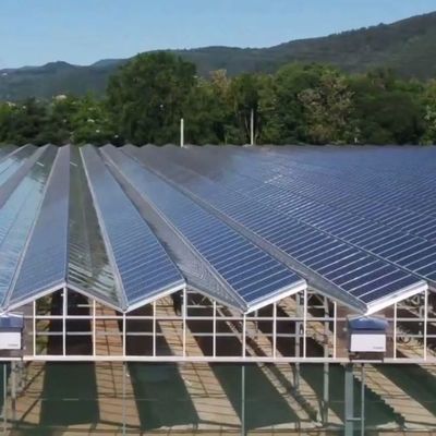 30 ημέρες Επιστροφή επιστροφής Δύο στρώσεις PE/Po πλαστική ταινία Φωτοβολταϊκό ηλιακό θερμοκήπιο