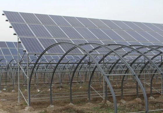 30 ημέρες Επιστροφή επιστροφής Δύο στρώσεις PE/Po πλαστική ταινία Φωτοβολταϊκό ηλιακό θερμοκήπιο