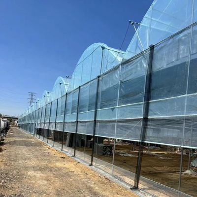 Χάλυβα Πολυδιάστατη Οικοδόμηση Κοκοπεϊτικό Χώμα θερμοκηπίου για λύσεις παραγωγής λαχανικών