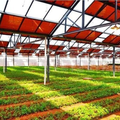 Χάλυβα Οικοδόμηση θερμοκήπια Τεχνολογία θερμικής μόνωσης με πρότυπα