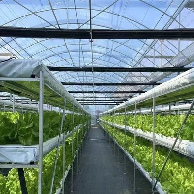 Πακέτο Μέγεθος 50,00cm * 60,00cm * 50,00cm Πολυδιάστατο θερμοκήπιο με σταγόνα άρδευση