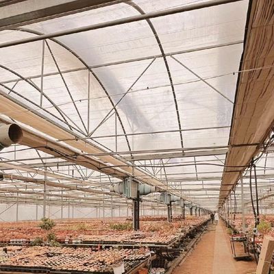 Φυτοπαραγωγή Po Φιλμ θερμοκήπιο με σύστημα σωλήνων νερού και χαμηλό κόστος αποστολής