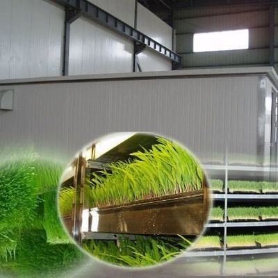 Πολυλειτουργική τροφή σε κοντέινερ για διπλά στρώματα για την αναπαραγωγή λουλουδιών/καλλιεργειών λαχανικών/σπόρων σπόρων