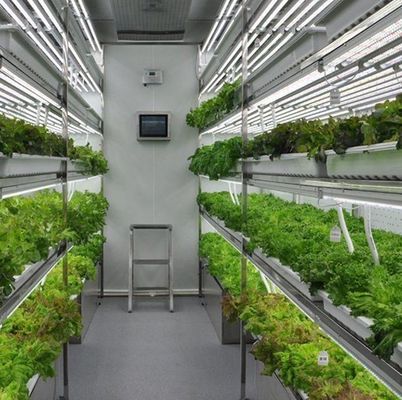 Κόστος αποστολής και εκτιμώμενος χρόνος παράδοσης Συσκευάσματα θερμοκήπια για φυλλώδη λαχανικά