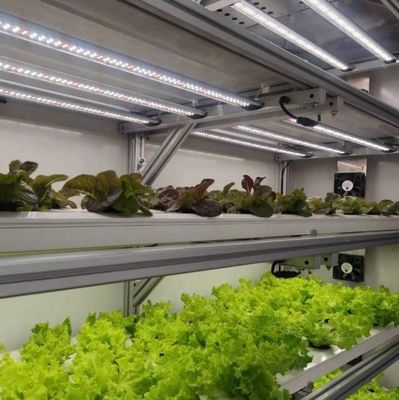 Κόστος αποστολής και εκτιμώμενος χρόνος παράδοσης Συσκευάσματα θερμοκήπια για φυλλώδη λαχανικά