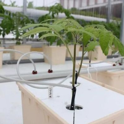 Σιδηροδρομική δομή κατακόρυφη γεωργική δεξαμενή θερμοκήπιο με υδροπονικό σύστημα πολλαπλών διαστάσεων