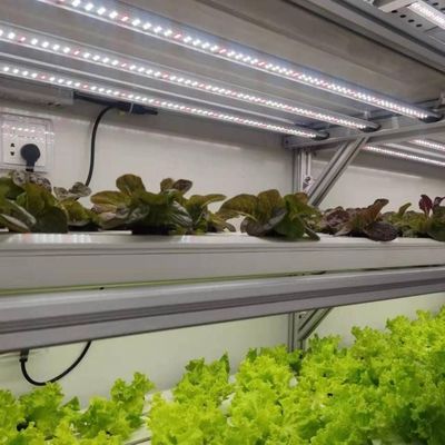 Σιδηροδρομική δομή κατακόρυφη γεωργική δεξαμενή θερμοκήπιο με υδροπονικό σύστημα πολλαπλών διαστάσεων