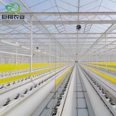 Σιδηροδρομική δομή κατακόρυφη γεωργική δεξαμενή θερμοκήπιο με υδροπονικό σύστημα πολλαπλών διαστάσεων