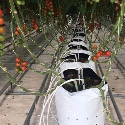 Φυτώριο σε κάθετο δοχείο γεωργικής παραγωγής με υψηλή πολυδιάσταση και σύστημα καλλιέργειας υποστρώματος