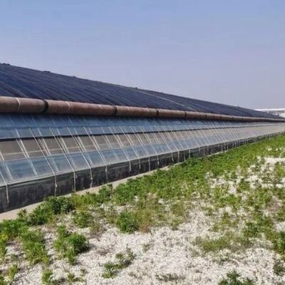 Εμπορικό θερμοκήπιο με υδροπονική