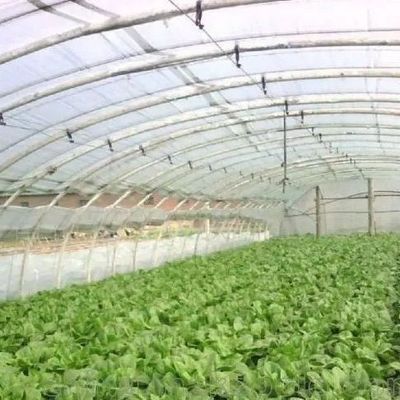 Εμπορικό θερμοκήπιο με υδροπονική