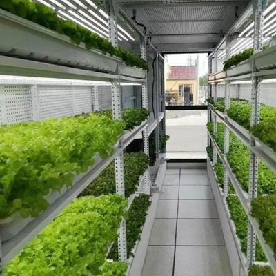 Τύπος Ευφυής Ελέγχου Γεωργία Υδροπονική Φάρμα Συσκευαστή για εξατομικευμένο αίτημα
