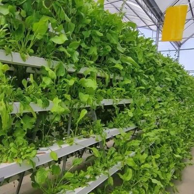 2000.000kg Πακέτο Ακαθάριστο βάρος Εμπορικό θερμοκήπιο για υδροπονική κλιματική ρύθμιση