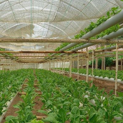 2000.000kg Πακέτο Ακαθάριστο βάρος Εμπορικό θερμοκήπιο για υδροπονική κλιματική ρύθμιση