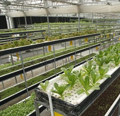 2000.000kg Πακέτο Ακαθάριστο βάρος Εμπορικό θερμοκήπιο για υδροπονική κλιματική ρύθμιση