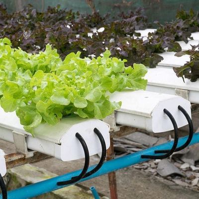 2000.000kg Πακέτο Ακαθάριστο βάρος Εμπορικό θερμοκήπιο για υδροπονική κλιματική ρύθμιση