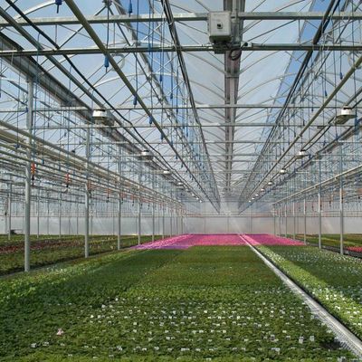 0.15/0.20mm Πο/ΠΕ Φόρμα Καλυμμένη Πολλαπλής Διαστάσεως θερμοκήπιο Προσωρινή θέρμανση