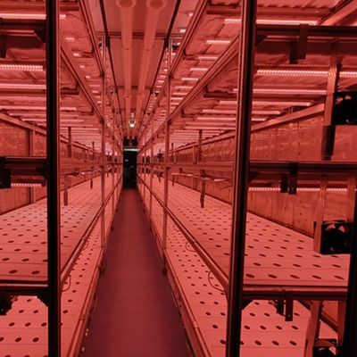 Mqo 1 Set Green House Ψαρά κάθετη ναυτιλία Φυτοκαλλιέργεια κοντέινερ Υδροπονική σύστημα καλλιέργειας