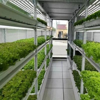 Mqo 1 Set Green House Ψαρά κάθετη ναυτιλία Φυτοκαλλιέργεια κοντέινερ Υδροπονική σύστημα καλλιέργειας