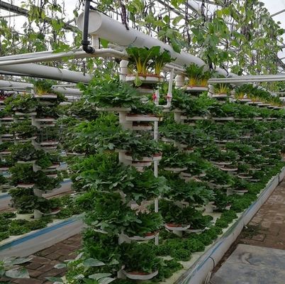 Διπλό στρώμα θερμοκήπιο υδροπονικής φύλλας Po/PE για λαχανικά
