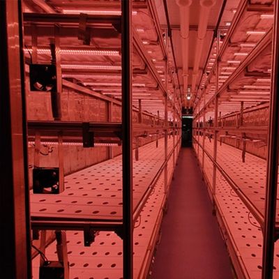Jx-container-greenhouse Καταστήματα κάθετων φυτών για την καλλιέργεια λαχανικών Φρούτα Λουλούδια