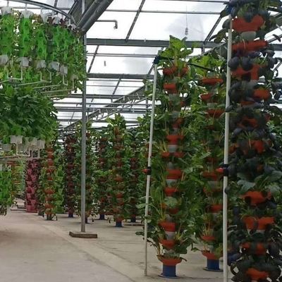 Κατάλληλη καλλιέργεια σπόρων, φιλική προς τον προϋπολογισμό θερμοκήπιο με πλαστικό κάλυμμα