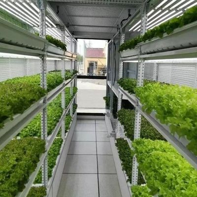 Προσαρμογή συστημάτων δοχείων ζωοτροφών υδροπονικών θερμοκηπίων για βέλτιστες επιδόσεις