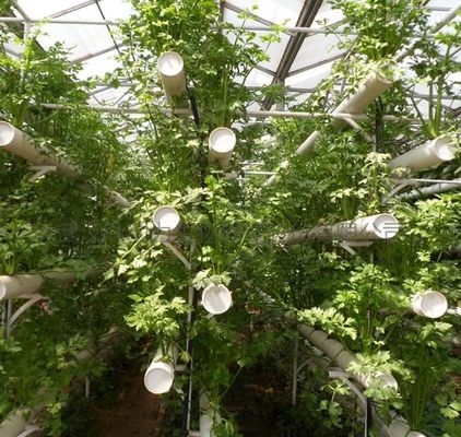 Οικονομικό Τμήμα Πλαστικό θερμοκήπιο με υδροπονική και προσωρινή θέρμανση