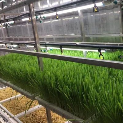 Υδροπονική λύση ζωοτροφών και λαχανικών φρούτα λουλούδια για θερμοκήπια σε δοχείο JX
