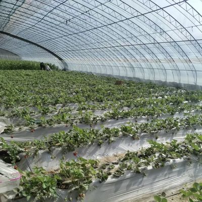 Πολυδιάστατο θερμοκήπιο για βέλτιστη στάθμευση των φυτών με σταγόνα και ηλιακό φως συμπεριλαμβανομένου